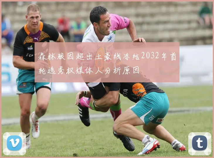 森林狼因超出土豪线冻结2032年首轮选秀权媒体人分析原因