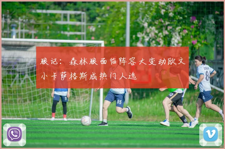 狼记：森林狼面临阵容大变动欧文小卡萨格斯成热门人选
