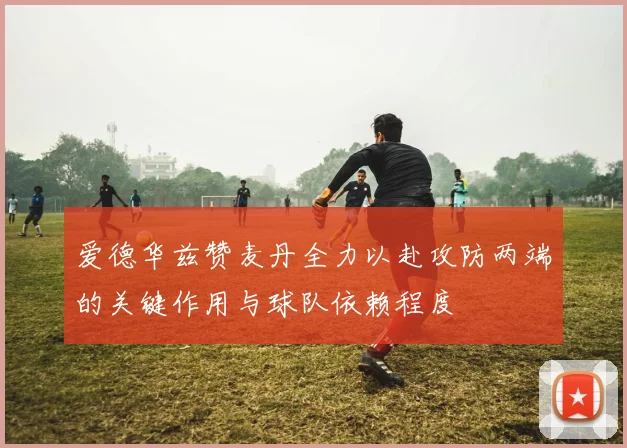 爱德华兹赞麦丹全力以赴攻防两端的关键作用与球队依赖程度